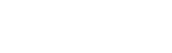 Need for fitness logo